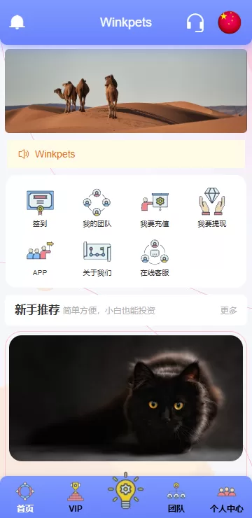 海外宠物领养投资理财系统/多语言支持/项目投资+会员等级/前端Vue全开源源码 - 灵犀海外源码-灵犀海外源码
